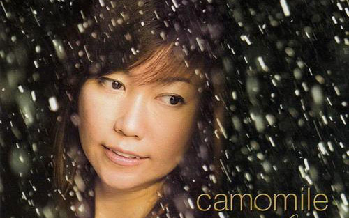 莎莉花园高清版吉他谱 G调_17吉他编配_藤田惠美