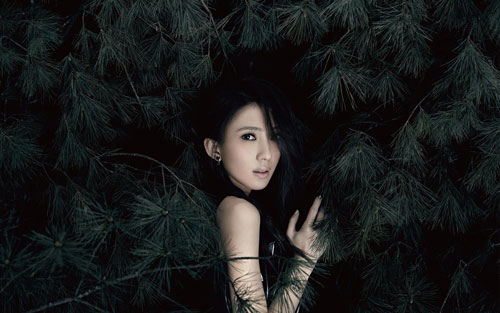 窗外吉他谱 G调高清版_彼岸吉他编配_戴佩妮