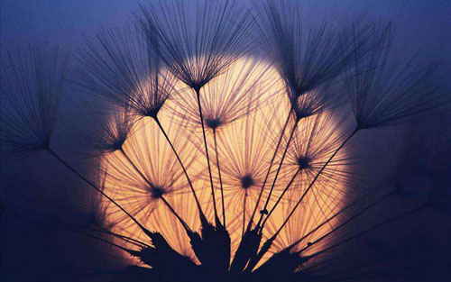 大自然之歌吉他谱 F调扫弦版_卢嘉兴编配_卢家兴