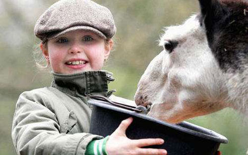 《Schnappi》尤克里里弹唱曲谱 C调六线谱_简单版_joy gruttmann