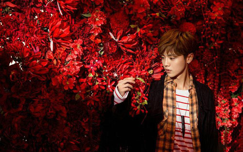 《时间停了》尤克里里谱弹唱版 F调男生版_番茄尤克里里编配_鹿晗