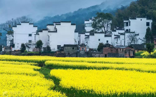 《转化》尤克里里谱弹唱版 G调和弦谱_音乐之家编配_赞美之泉