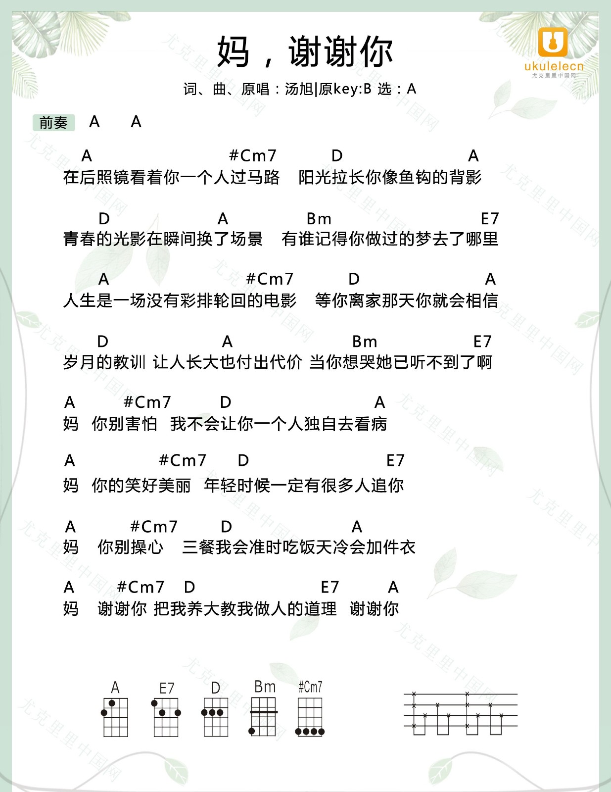 妈,谢谢你尤克里里谱