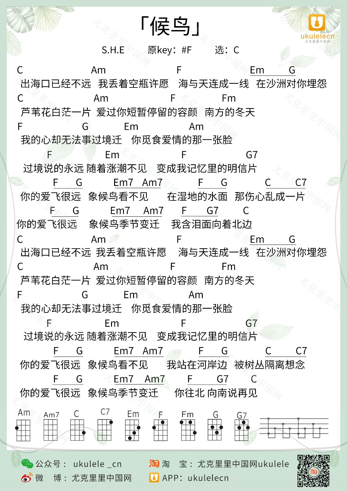 候鸟尤克里里谱